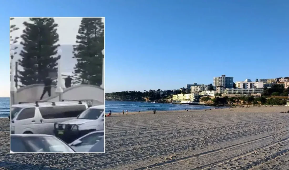 Sidney Bondi Plajı’nda silahlı