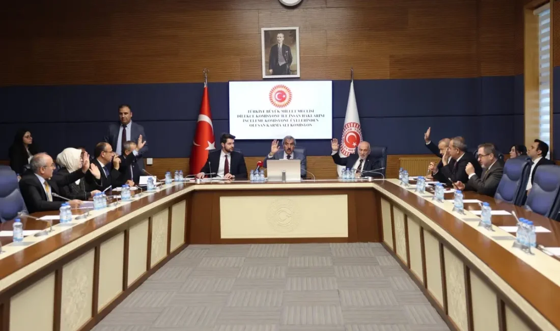 TBMM Komisyonlarında Kamu Denetçisi