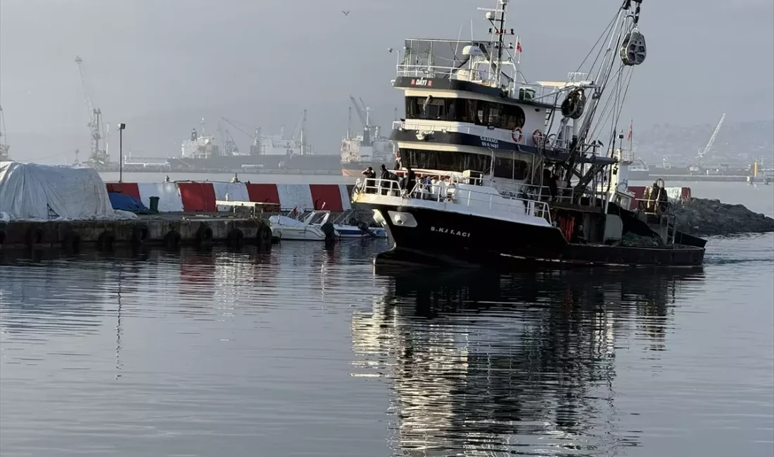Tekirdağ'da istavrit sezonu hızla