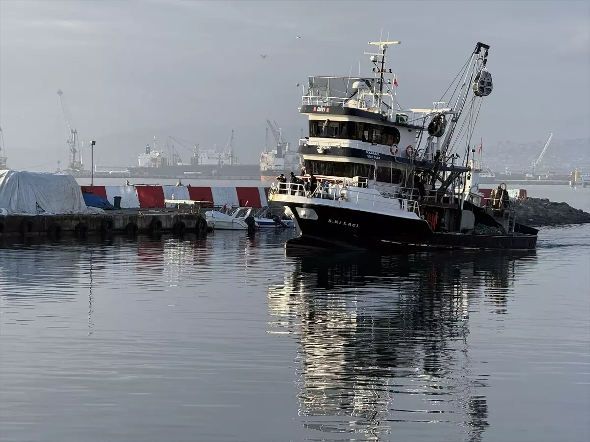 Tekirdağ’da Istavrit Sezonu Hızla Hızlanıyor