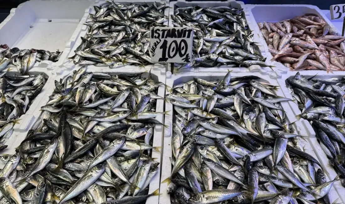 Trabzon Balık Pazarı'nda hamsi