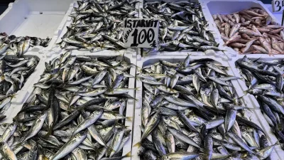 Trabzon Balık Pazarı'nda hamsi ve