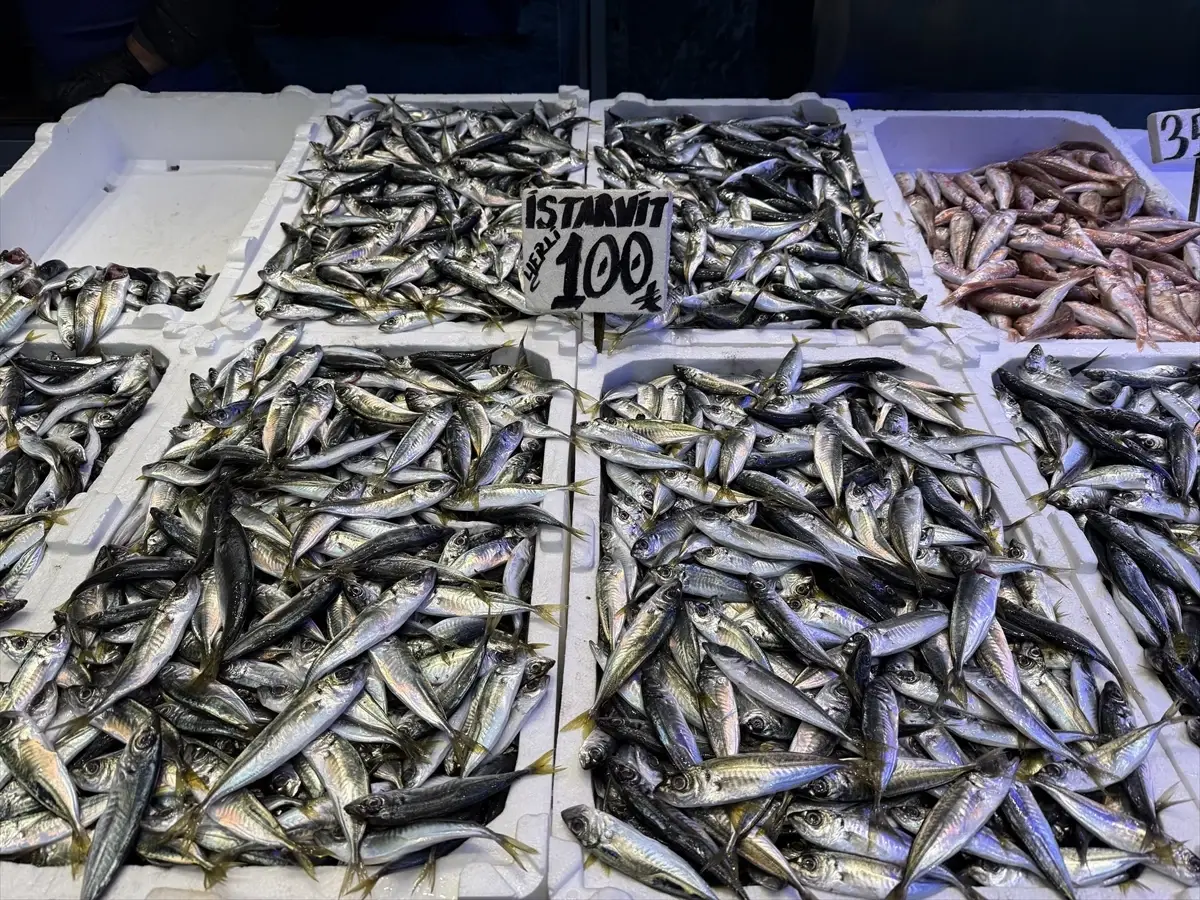 Trabzon Balık Pazarında Hamsi ve İstavrit Fiyatları Güncel Durumda