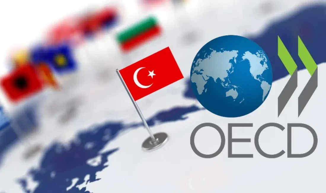 2025 üçüncü çeyrek Türk