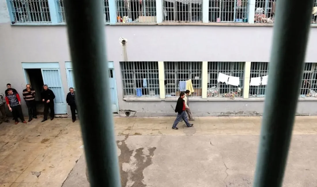 Türk Meclisi'nde yargı ve