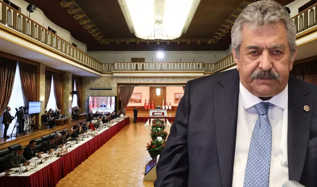 Türkiye Büyük Millet Meclisi'nde