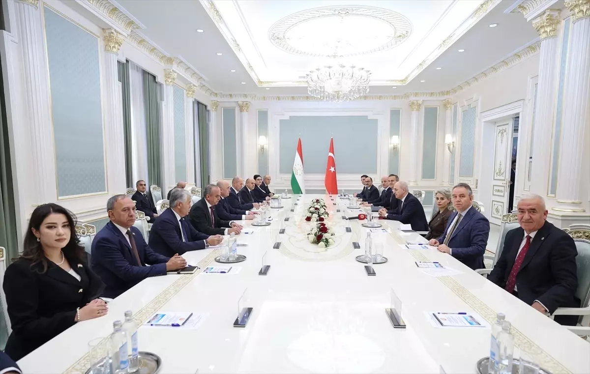 Türkiye-Tacikistan Yüksek Düzeyli İşbirliği Zirvesi ve Gelecek Perspektifleri