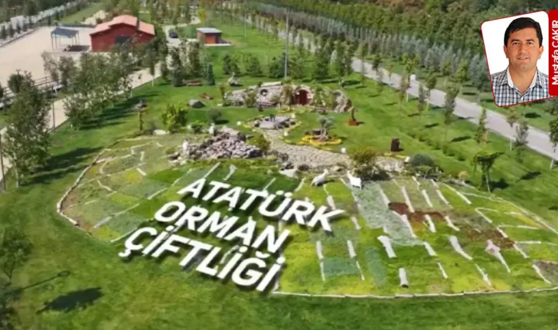 Türkiye'nin ekonomik ve kurumsal