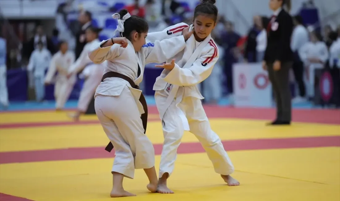 Uluslararası Madenci Kupası Judo