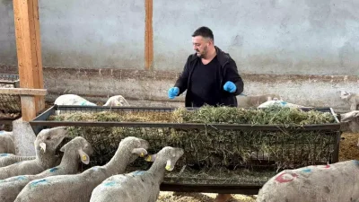 Yenişehir’de Şap Hastalığının Vurduğu Hayvancılıkta Çare Bekleniyor