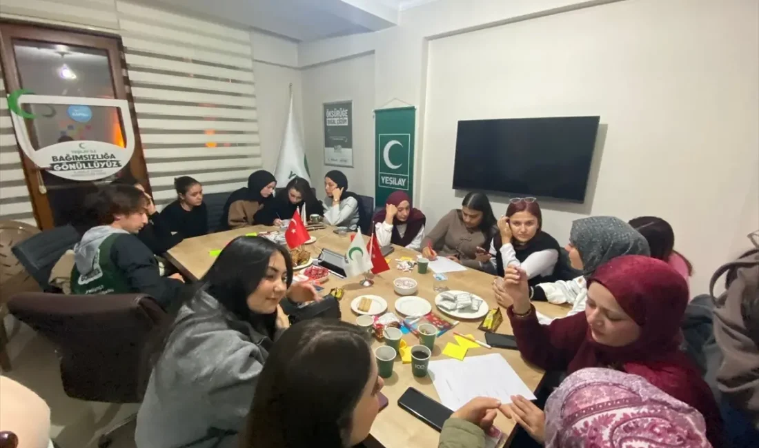 Yeşilay Gönüllüleri, Dünya Gönüllüler